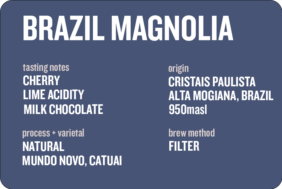 Brazil Magnolia Natural
