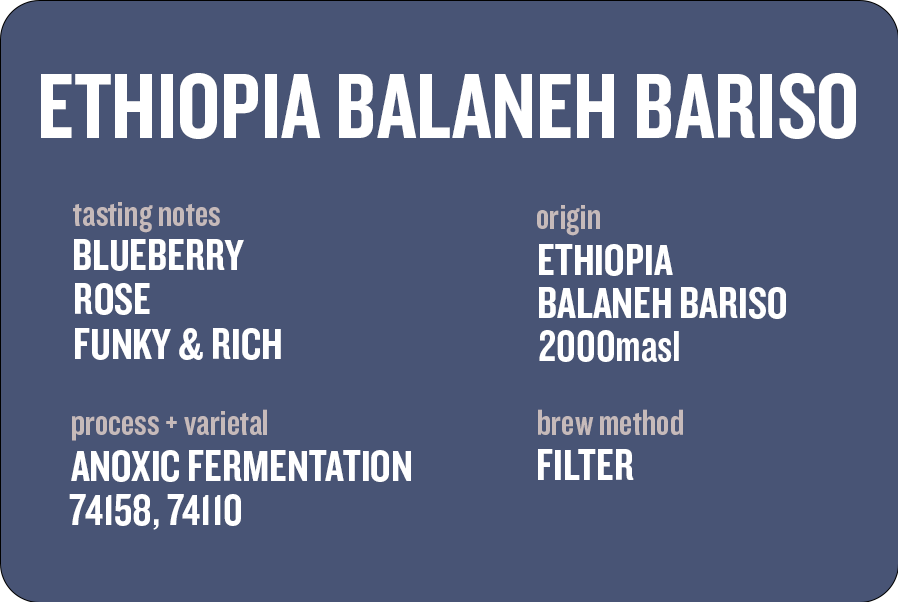 Ethiopia Balaneh Bariso Anoxic 225g