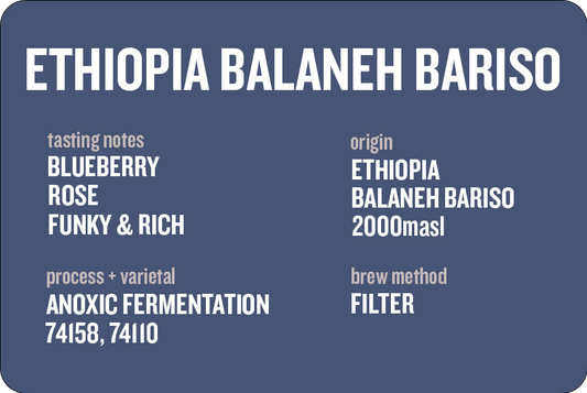 Ethiopia Balaneh Bariso Anoxic 225g